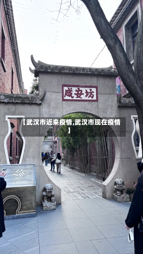 【武汉市近来疫情,武汉市现在疫情】-第2张图片