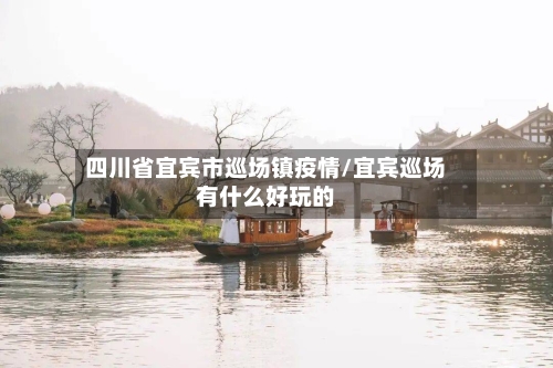 四川省宜宾市巡场镇疫情/宜宾巡场有什么好玩的-第2张图片