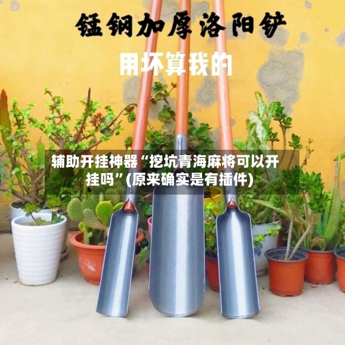 辅助开挂神器“挖坑青海麻将可以开挂吗”(原来确实是有插件)-第2张图片