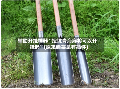 辅助开挂神器“挖坑青海麻将可以开挂吗”(原来确实是有插件)-第3张图片
