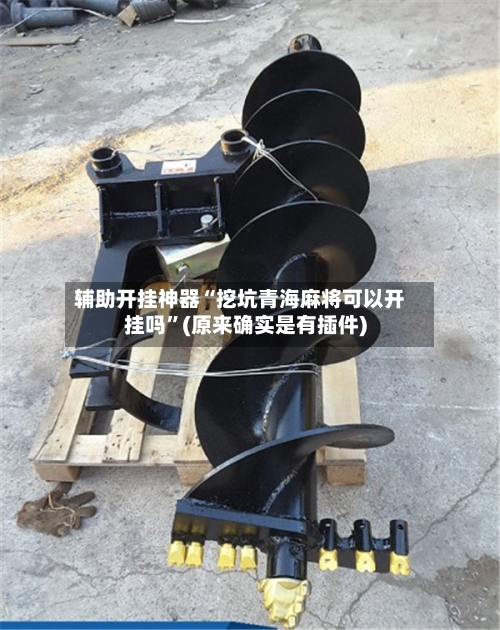 辅助开挂神器“挖坑青海麻将可以开挂吗	”(原来确实是有插件)-第1张图片