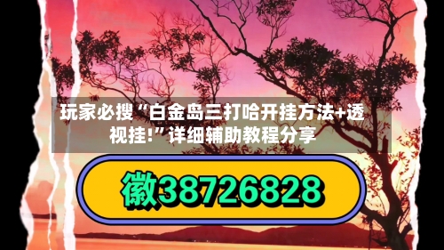 玩家必搜“白金岛三打哈开挂方法+透视挂!”详细辅助教程分享-第2张图片