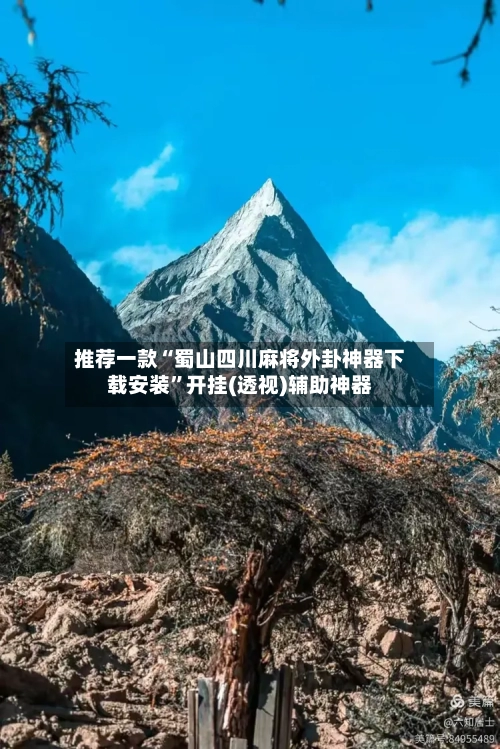 推荐一款“蜀山四川麻将外卦神器下载安装”开挂(透视)辅助神器-第2张图片