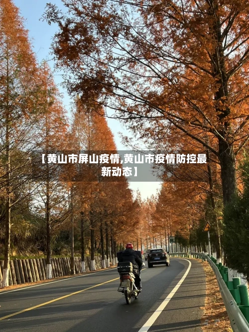【黄山市屏山疫情,黄山市疫情防控最新动态】-第2张图片