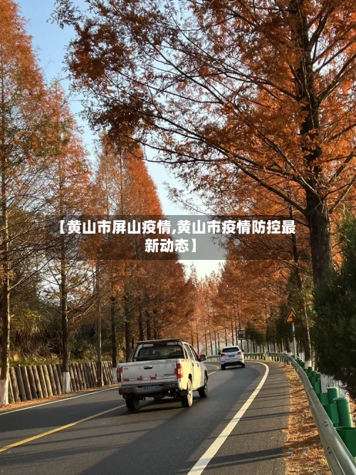 【黄山市屏山疫情,黄山市疫情防控最新动态】-第1张图片