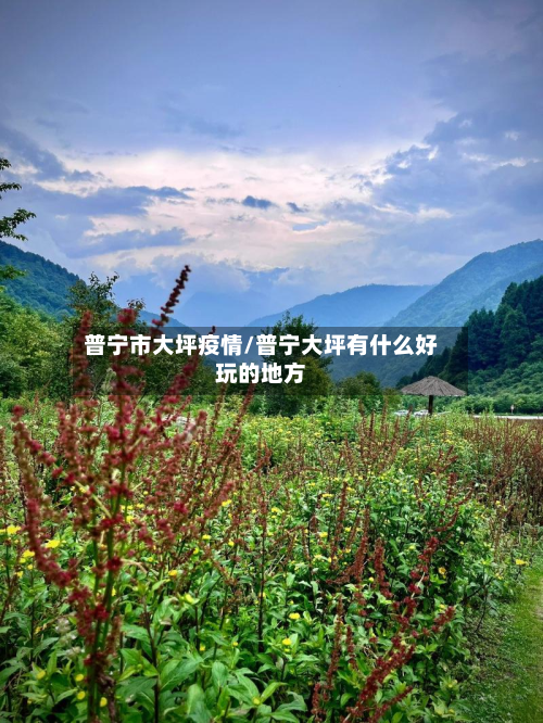 普宁市大坪疫情/普宁大坪有什么好玩的地方-第2张图片