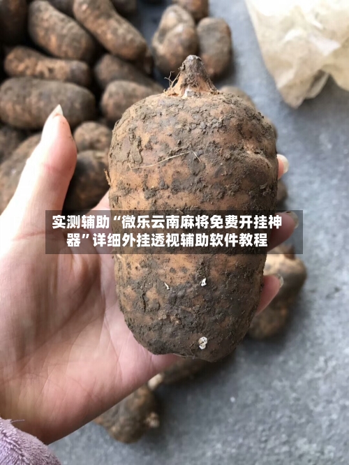 实测辅助“微乐云南麻将免费开挂神器”详细外挂透视辅助软件教程-第1张图片