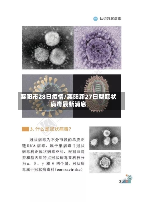 襄阳市28日疫情/襄阳新27日型冠状病毒最新消息-第1张图片