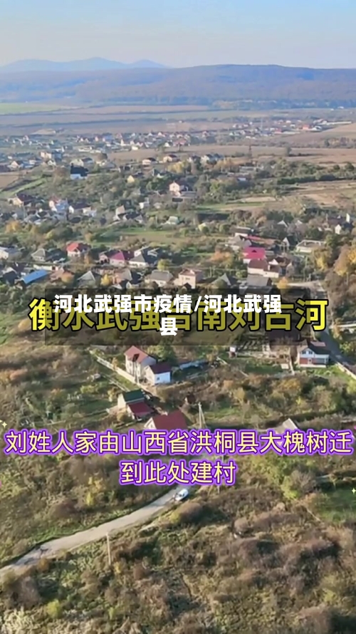 河北武强市疫情/河北武强县-第1张图片