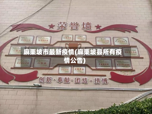 麻栗坡市最新疫情(麻栗坡县所有疫情公告)-第2张图片