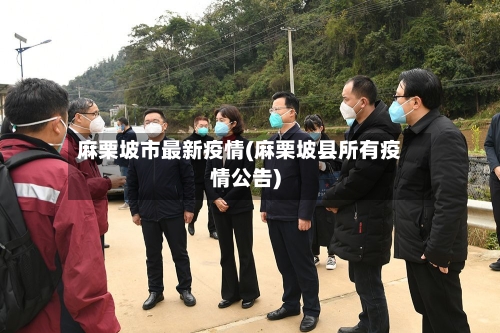 麻栗坡市最新疫情(麻栗坡县所有疫情公告)-第1张图片