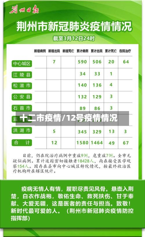 十二市疫情/12号疫情情况-第2张图片