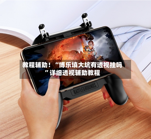教程辅助！“博乐填大坑有透视挂吗”详细透视辅助教程-第1张图片