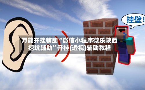 万能开挂辅助“微信小程序微乐陕西挖坑辅助”开挂(透视)辅助教程-第3张图片