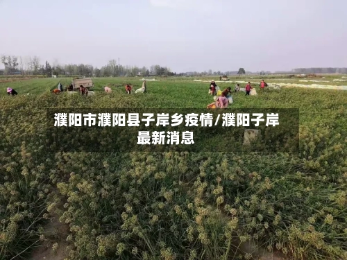 濮阳市濮阳县子岸乡疫情/濮阳子岸最新消息-第2张图片