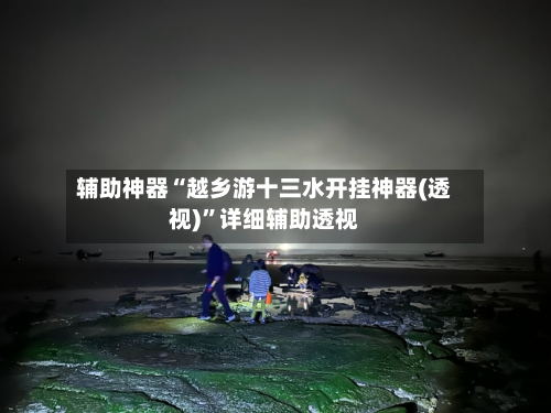 辅助神器“越乡游十三水开挂神器(透视)”详细辅助透视-第2张图片