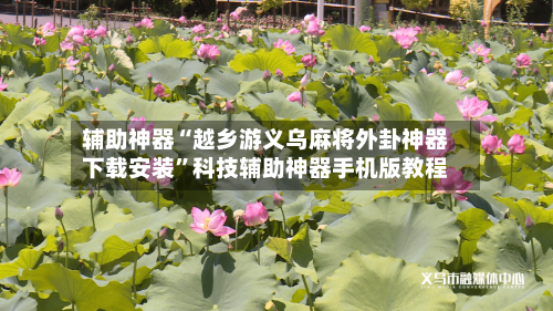 辅助神器“越乡游义乌麻将外卦神器下载安装”科技辅助神器手机版教程-第1张图片