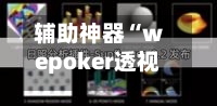 辅助神器“wepoker透视挂真的假的	”详细开挂玩法-第2张图片