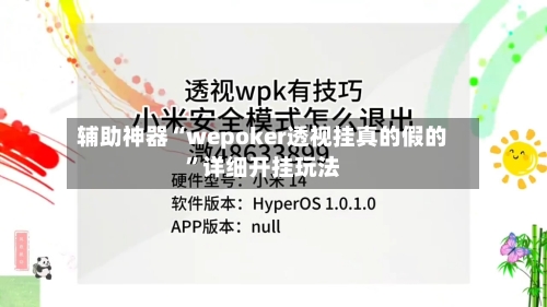 辅助神器“wepoker透视挂真的假的”详细开挂玩法-第1张图片