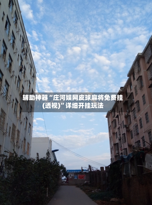 辅助神器“庄河娱网皮球麻将免费挂(透视)”详细开挂玩法-第1张图片