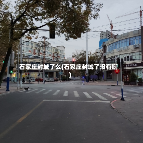 石家庄封城了么(石家庄封城了没有啊)-第3张图片