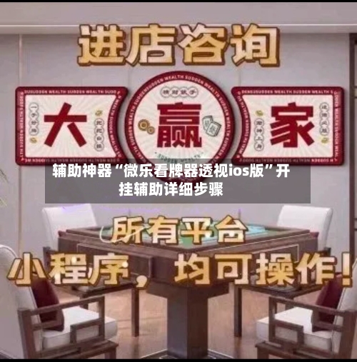 辅助神器“微乐看牌器透视ios版”开挂辅助详细步骤-第3张图片