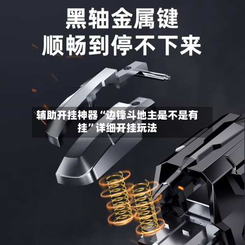 辅助开挂神器“边锋斗地主是不是有挂	”详细开挂玩法-第3张图片