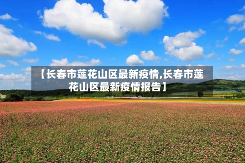 【长春市莲花山区最新疫情,长春市莲花山区最新疫情报告】-第1张图片