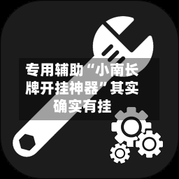 专用辅助“小南长牌开挂神器”其实确实有挂-第2张图片