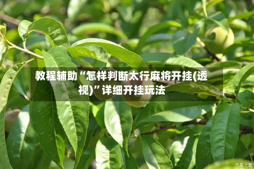 教程辅助“怎样判断太行麻将开挂(透视)”详细开挂玩法-第1张图片