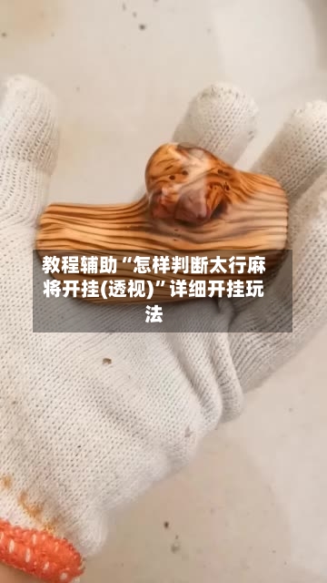 教程辅助“怎样判断太行麻将开挂(透视)	”详细开挂玩法-第3张图片