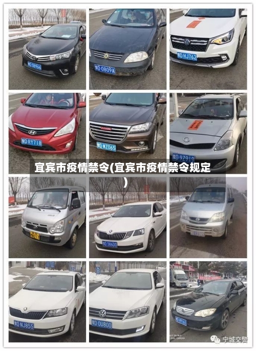 宜宾市疫情禁令(宜宾市疫情禁令规定)-第2张图片