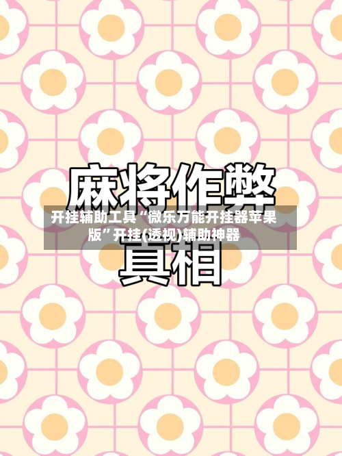 开挂辅助工具“微乐万能开挂器苹果版”开挂(透视)辅助神器-第3张图片