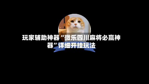 玩家辅助神器“微乐四川麻将必赢神器”详细开挂玩法-第3张图片
