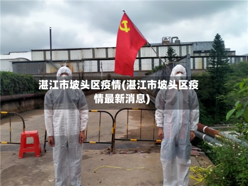湛江市坡头区疫情(湛江市坡头区疫情最新消息)-第2张图片