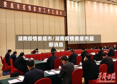 湖南疫情娄底市/湖南疫情娄底市最新消息-第2张图片