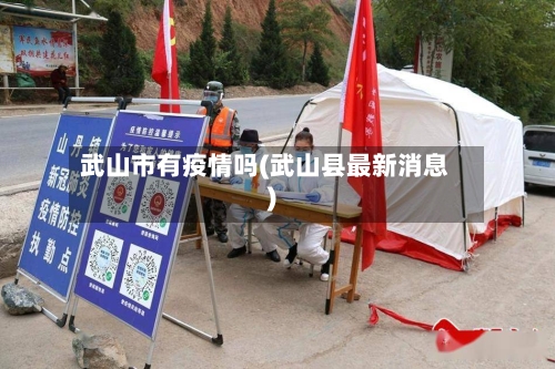 武山市有疫情吗(武山县最新消息)-第2张图片