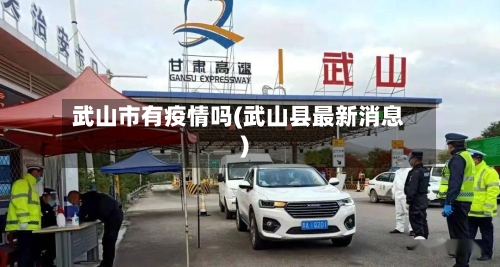 武山市有疫情吗(武山县最新消息)-第1张图片
