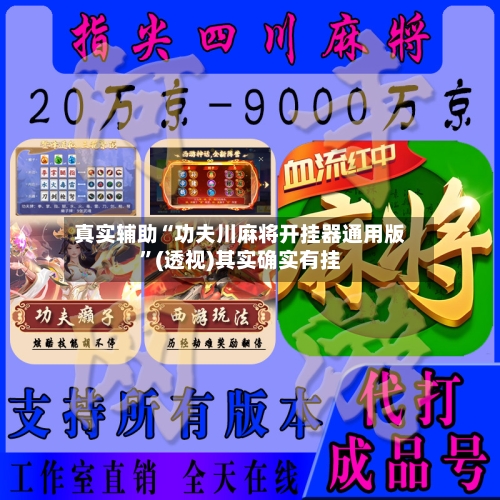 真实辅助“功夫川麻将开挂器通用版”(透视)其实确实有挂-第3张图片