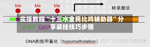 实操教程“十三水全民比鸡辅助器”分享装挂技巧步骤-第1张图片