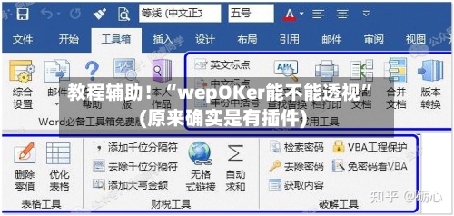 教程辅助！“wepOKer能不能透视”(原来确实是有插件)-第2张图片