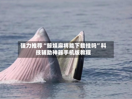 强力推荐“鲸娱麻将能下载挂吗	”科技辅助神器手机版教程-第1张图片