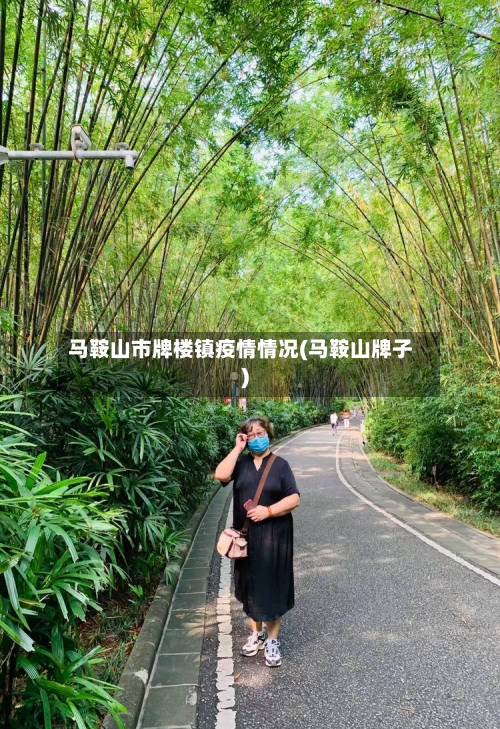 马鞍山市牌楼镇疫情情况(马鞍山牌子)-第2张图片