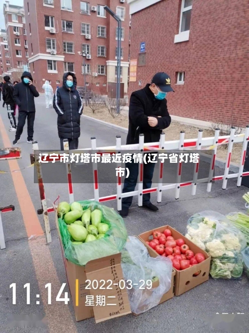 辽宁市灯塔市最近疫情(辽宁省灯塔市)-第3张图片