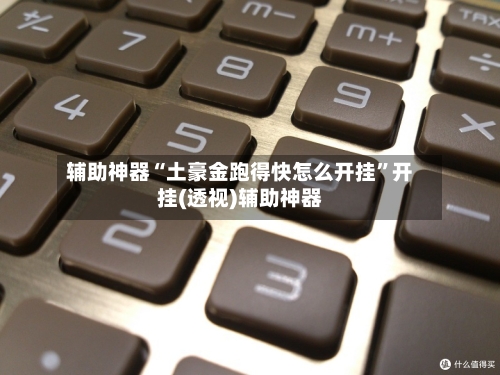 辅助神器“土豪金跑得快怎么开挂”开挂(透视)辅助神器-第1张图片