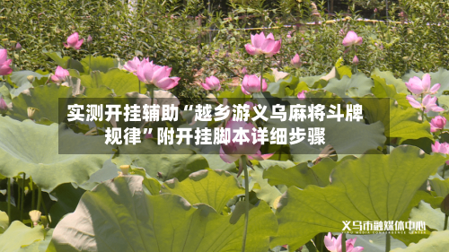 实测开挂辅助“越乡游义乌麻将斗牌规律”附开挂脚本详细步骤-第1张图片