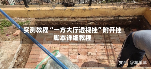实测教程“一方大厅透视挂”附开挂脚本详细教程-第1张图片