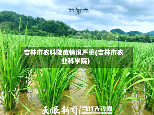吉林市农科院疫情很严重(吉林市农业科学院)-第2张图片