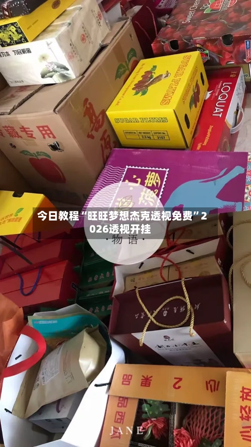 今日教程“旺旺梦想杰克透视免费”2026透视开挂-第1张图片