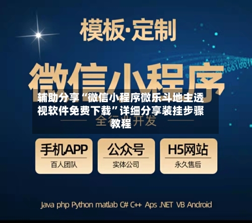 辅助分享“微信小程序微乐斗地主透视软件免费下载”详细分享装挂步骤教程-第2张图片